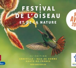 festival-oiseau-nature-770x545