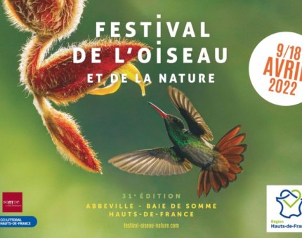 festival-oiseau-nature-770x545